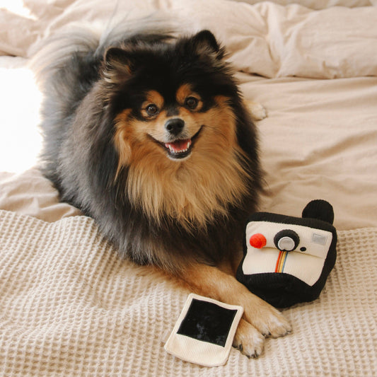 Lambwolf Collective INSTANT CAMERA // ENRICHMENT DOG TOY
