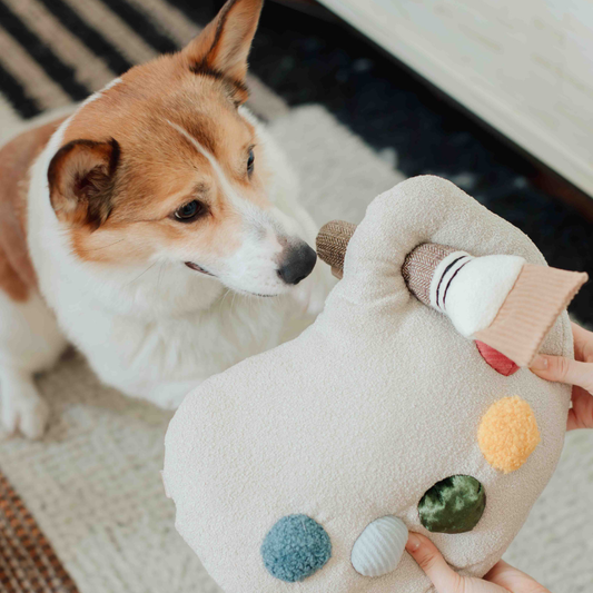 Color Palette Set // ENRICHMENT DOG TOY