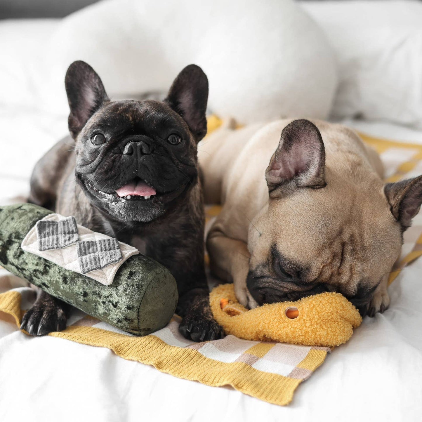 Lambwolf Collective MERLOT//ENRICHMENT DOG TOY