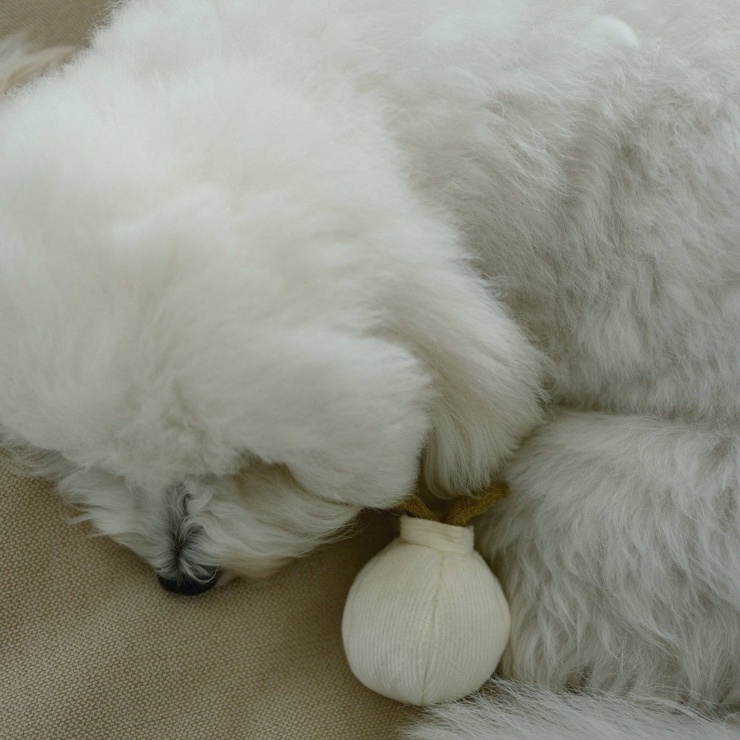 Lambwolf Collective GARLIC POP//ENRICHMENT DOG TOY