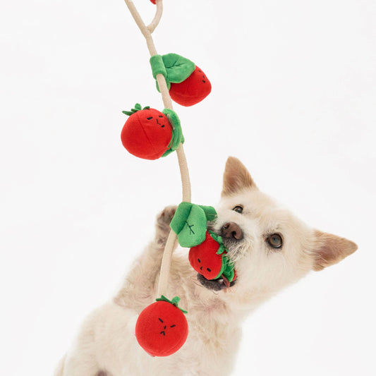 The Furryfolks CHERRY TOMATO Nose Work & Tug Toy