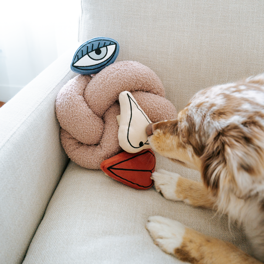 PICASSO//ENRICHMENT DOG TOY