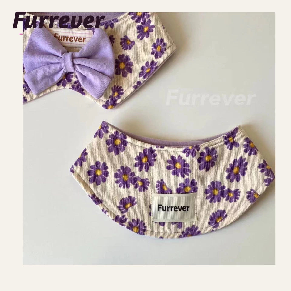 Furrever Purple Daisy Cape
