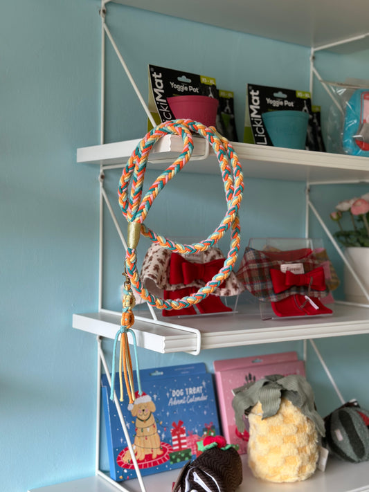 Braided Dog Leash (Orange& yellow)