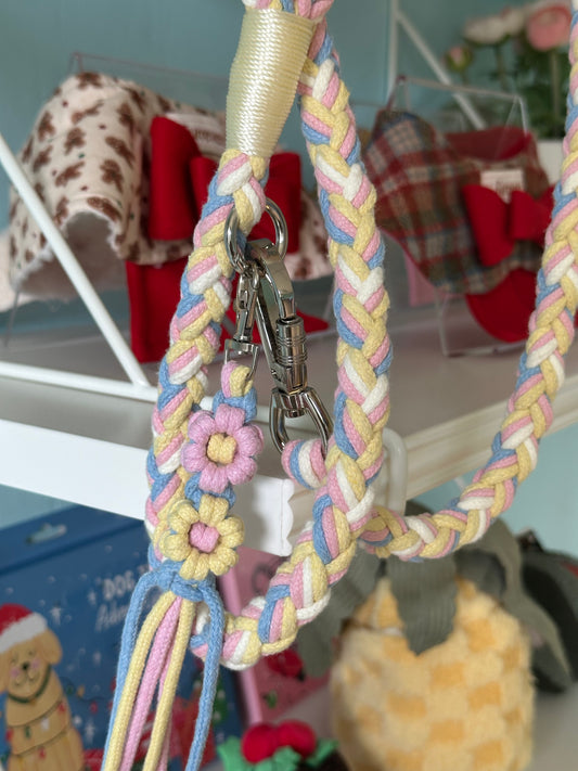 Braided Dog Leash (Pink& yellow)