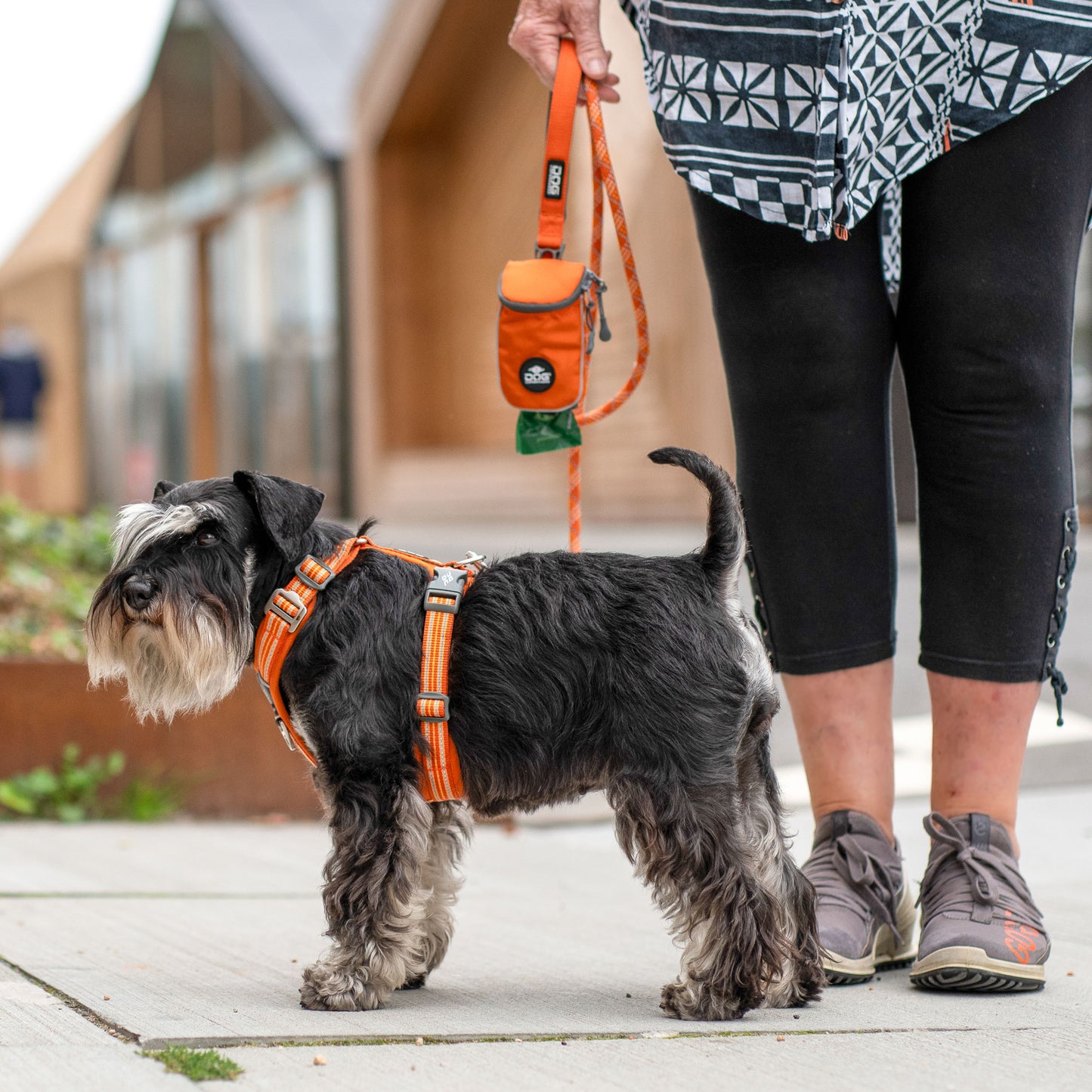 Dog Copehagen Comfort Walk Air™ Harness