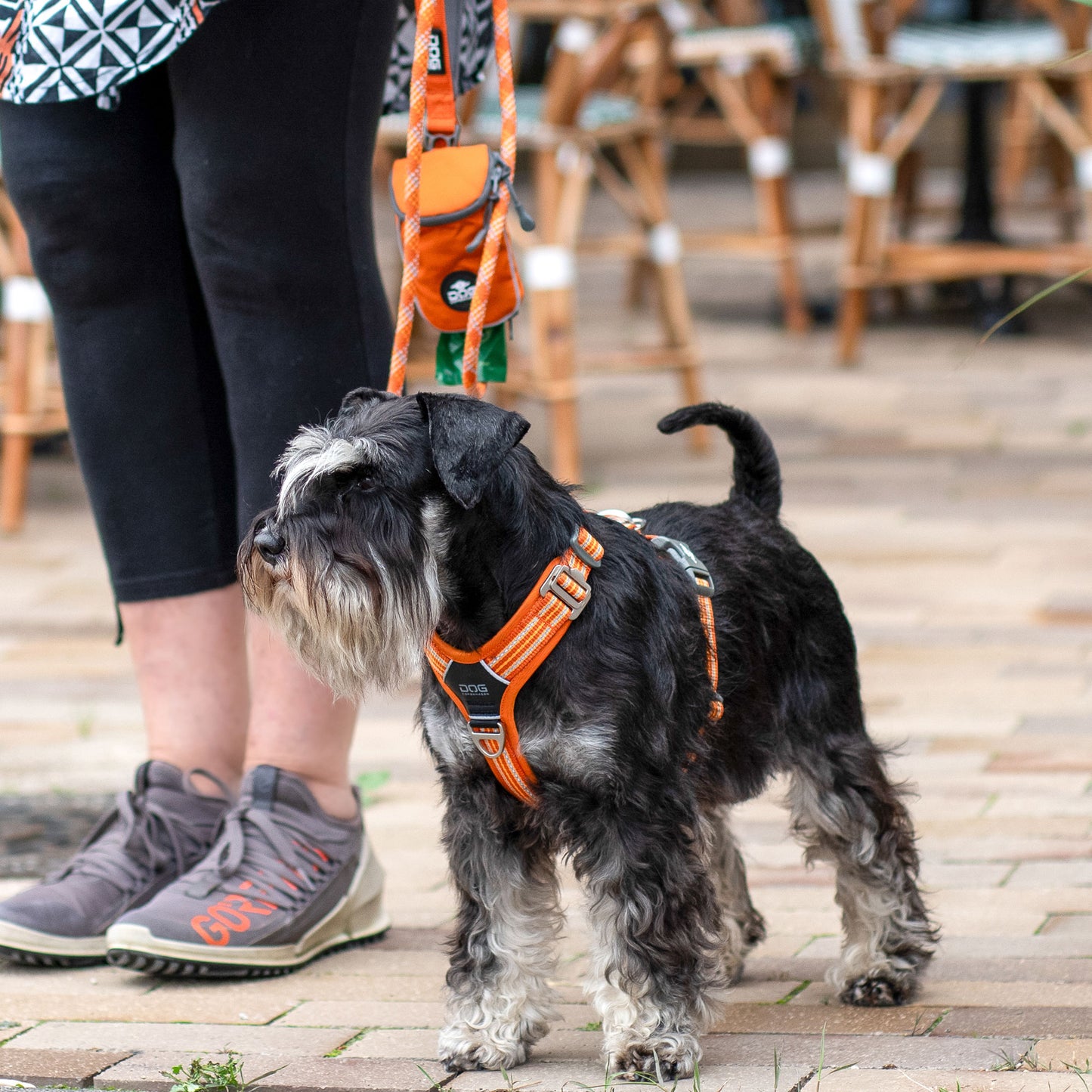 Dog Copehagen Comfort Walk Air™ Harness