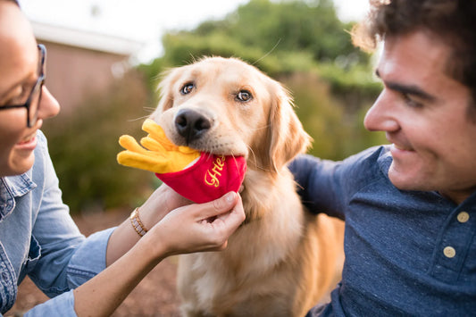 P.L.A.Y Frenchie Fries