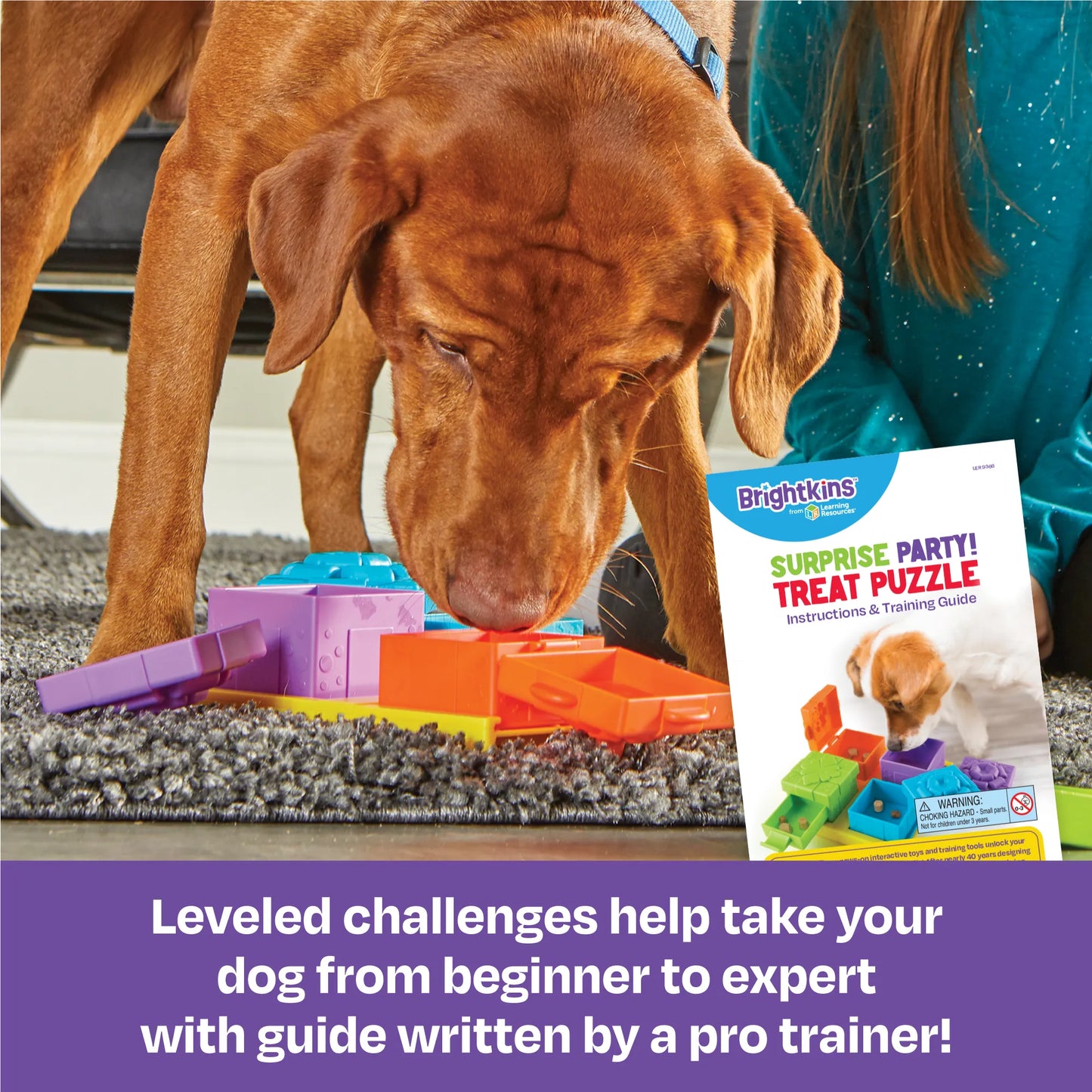 Brightkins Surprise Party! Treat Puzzle
