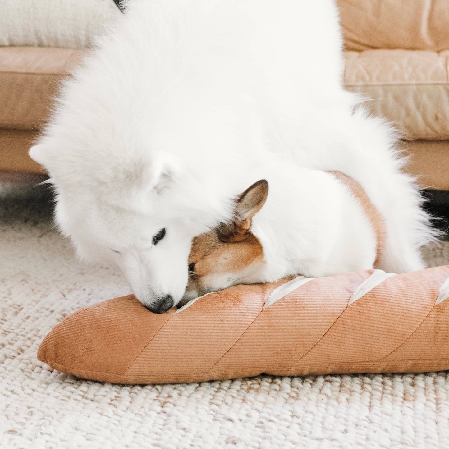 GIANT BAGUETTE//ENRICHMENT DOG TOY