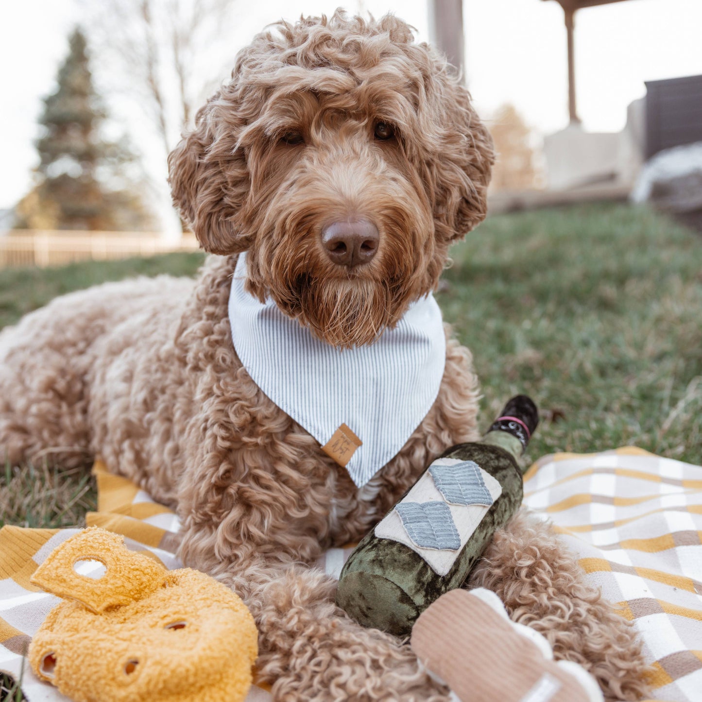 Lambwolf Collective MERLOT//ENRICHMENT DOG TOY