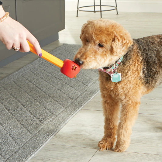 Brightkins Pooch School! Training Set