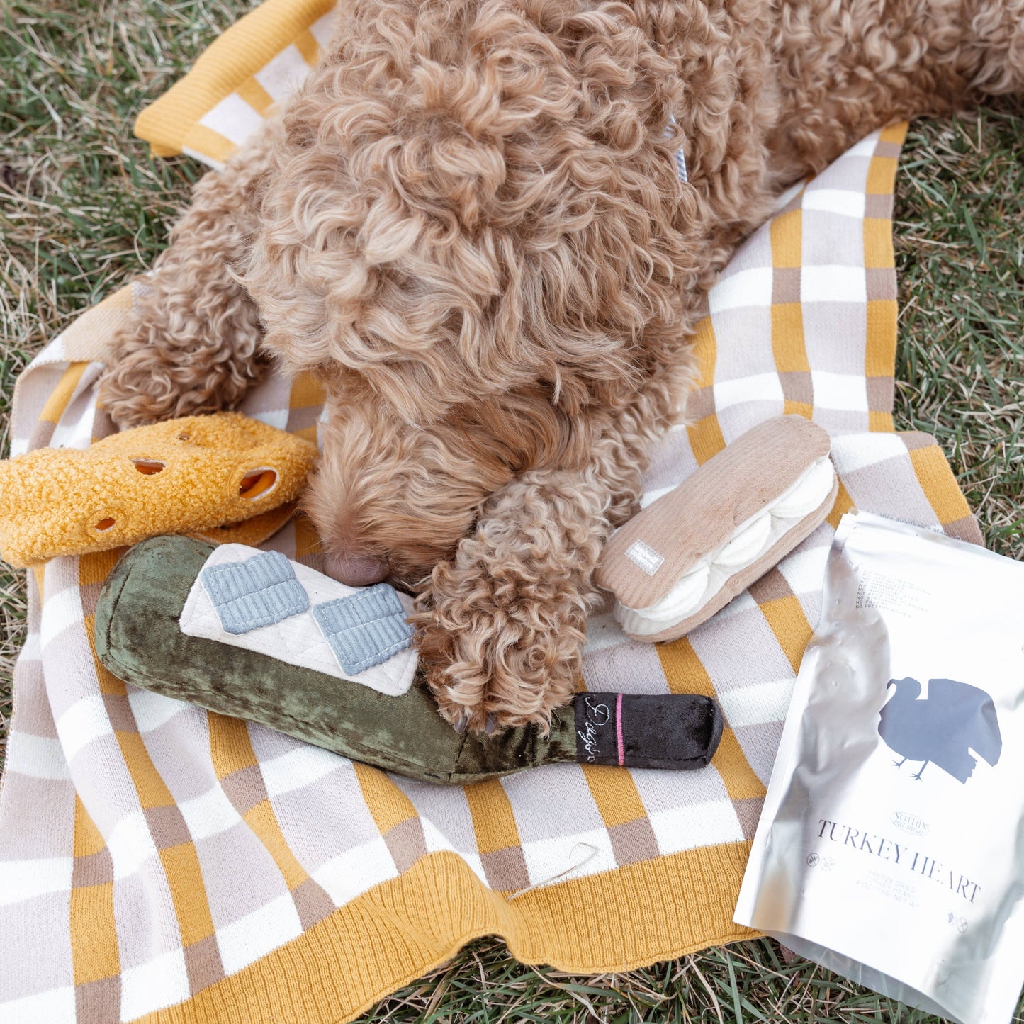 Lambwolf Collective MERLOT//ENRICHMENT DOG TOY