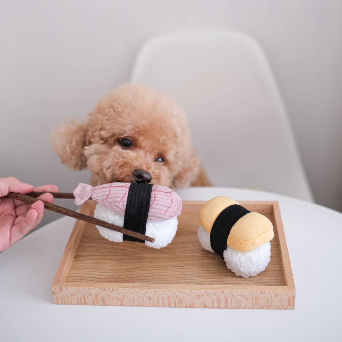 Lambwolf Collective SUSHI // Enrichment dog toy