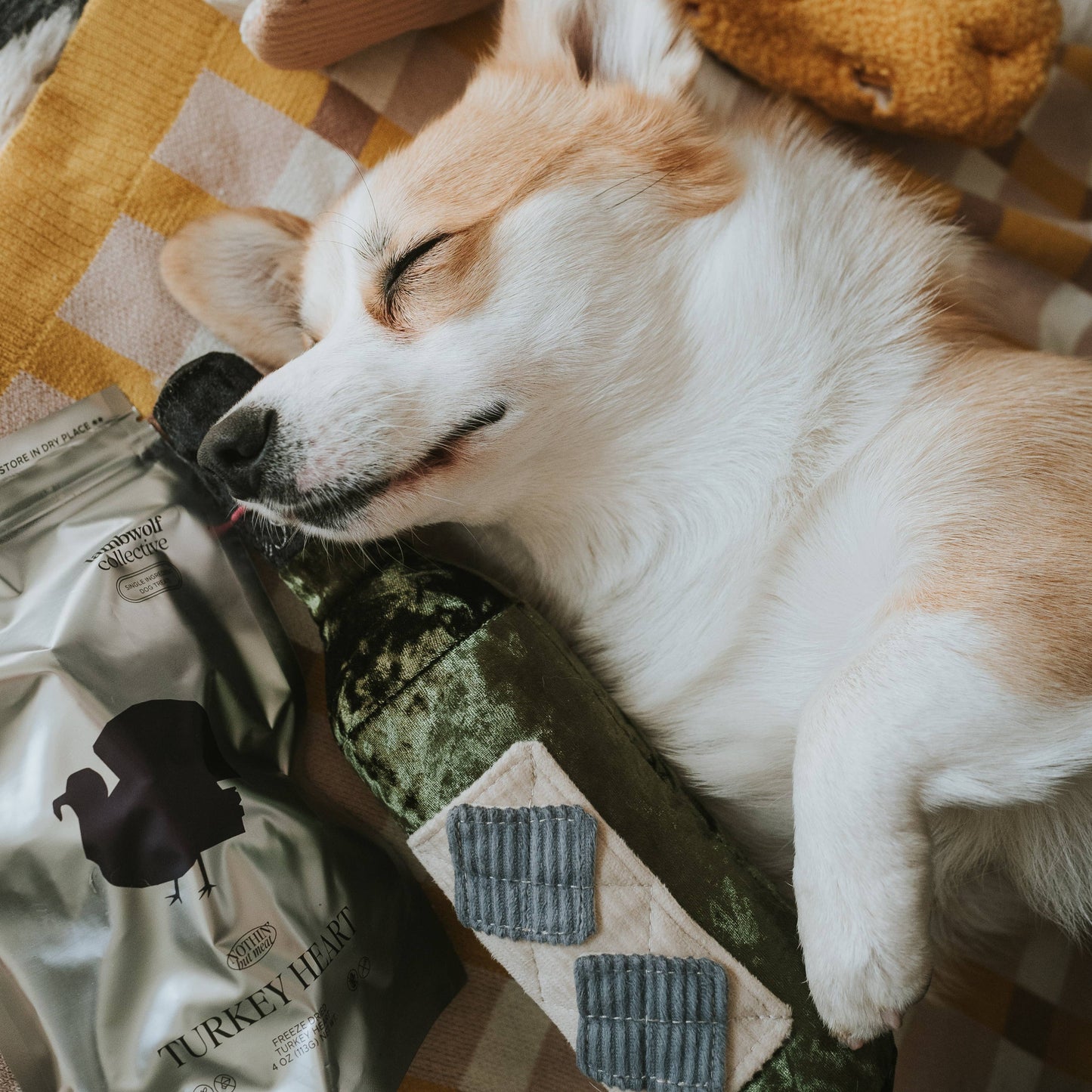 Lambwolf Collective MERLOT//ENRICHMENT DOG TOY