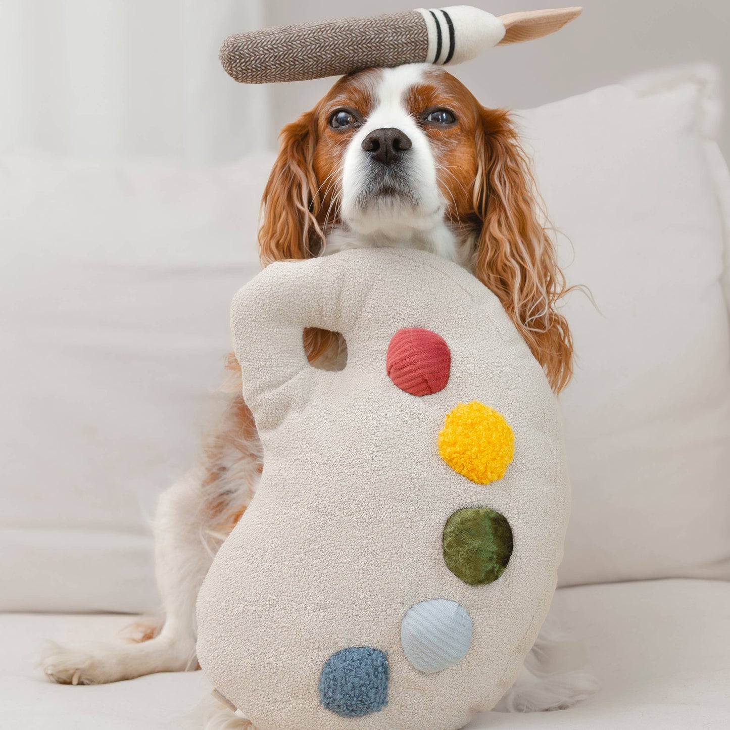 Color Palette Set // ENRICHMENT DOG TOY