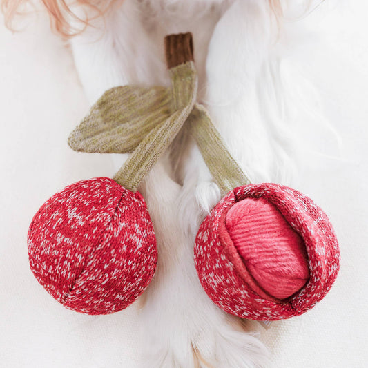 CHERRY POP//ENRICHMENT DOG TOY