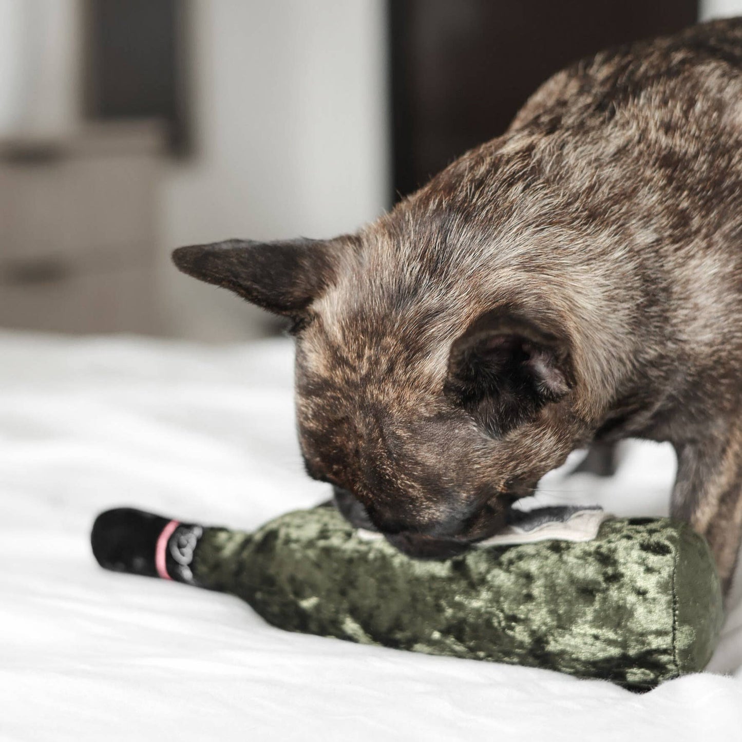 Lambwolf Collective MERLOT//ENRICHMENT DOG TOY