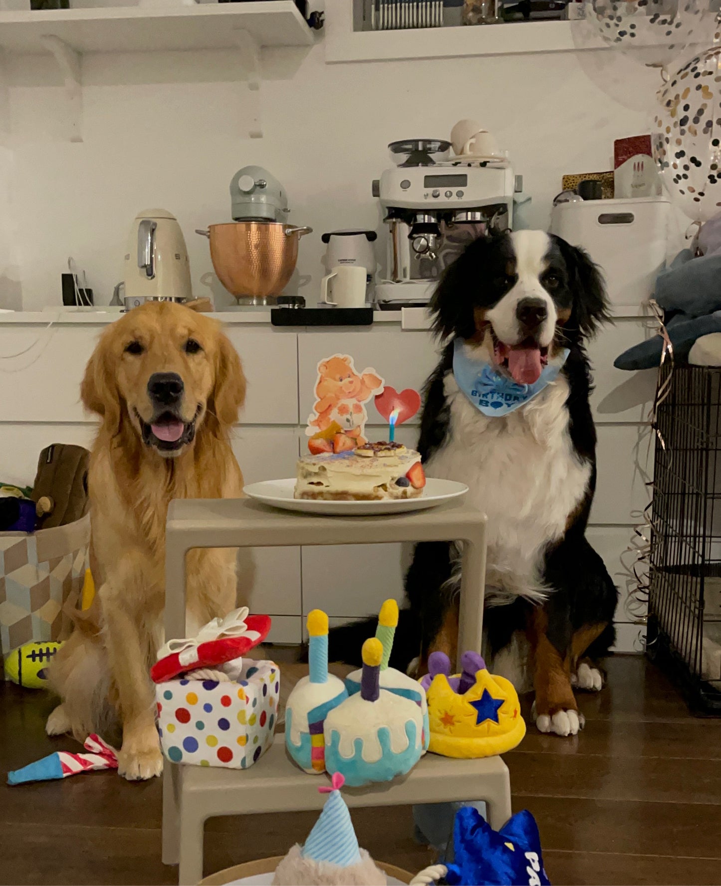 P.L.A.Y. Pawfect Present