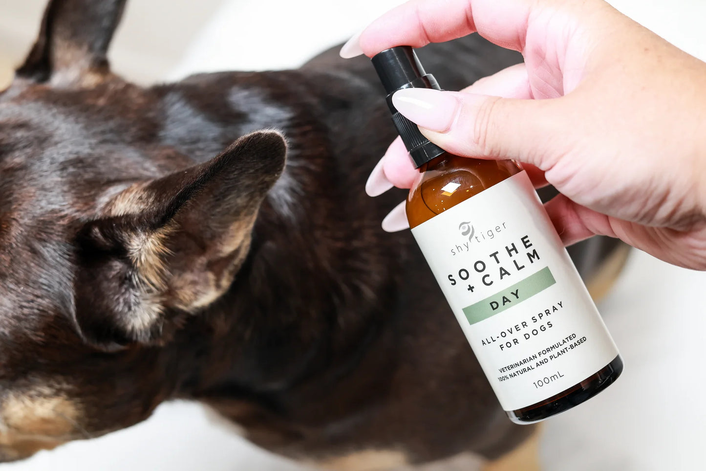 Shy Tiger Emotion+ Stress Support Spray 100ml