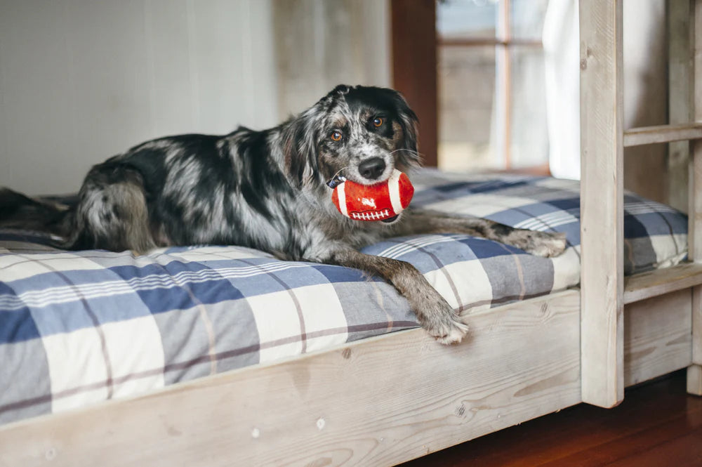 P.L.A.Y Back to School Fido's Football