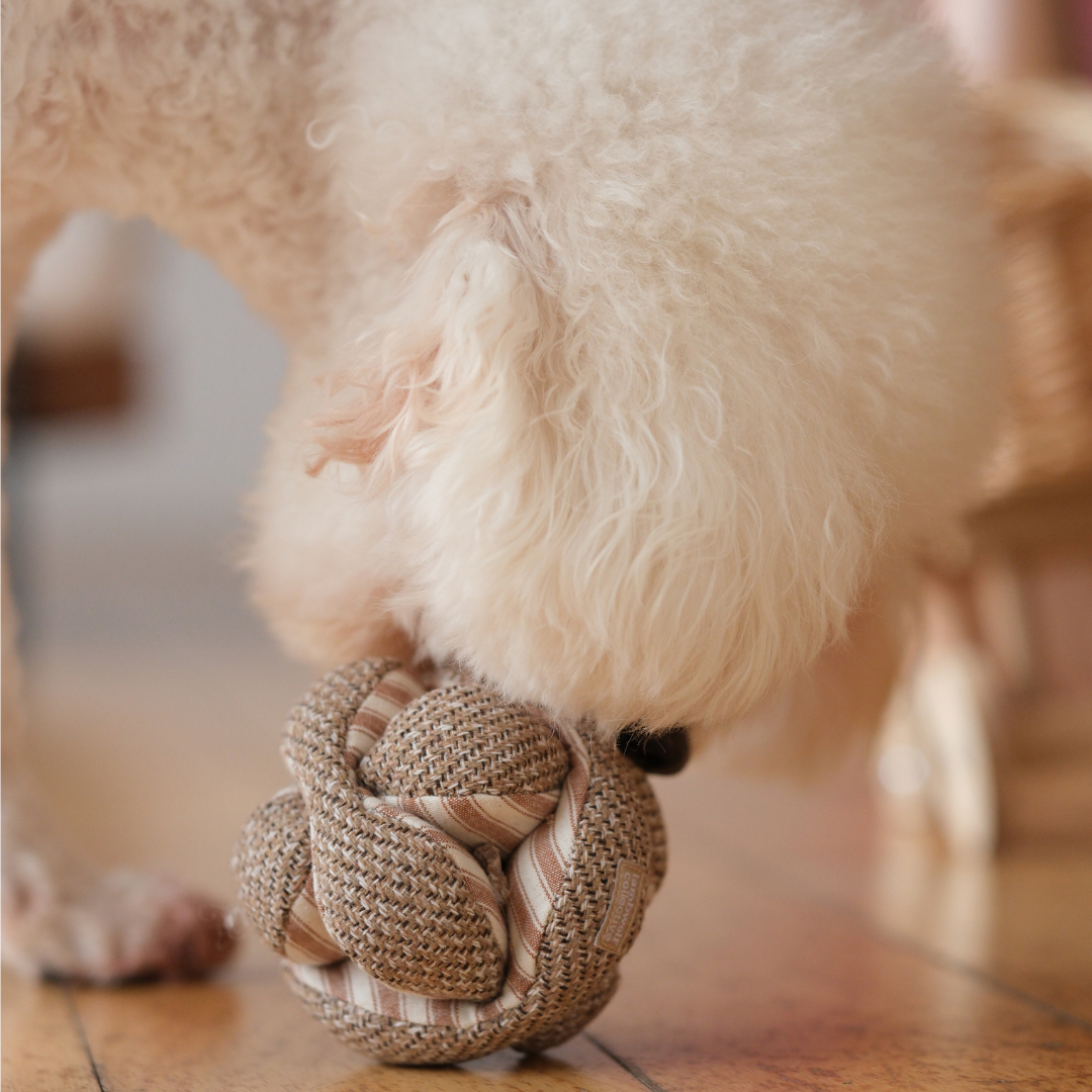 MINI MONTI //Enrichment Toy