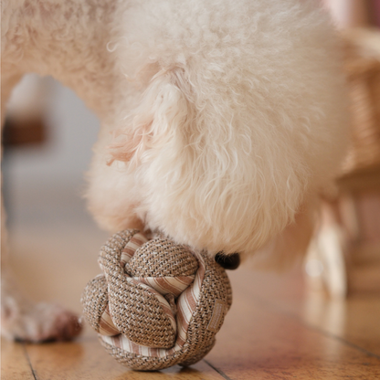 MINI MONTI //Enrichment Toy