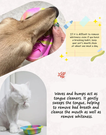 Silicone Lab Siliking Egg Bowl BIG