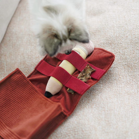 Lambwolf Collective BACK TO SCHOOL Set