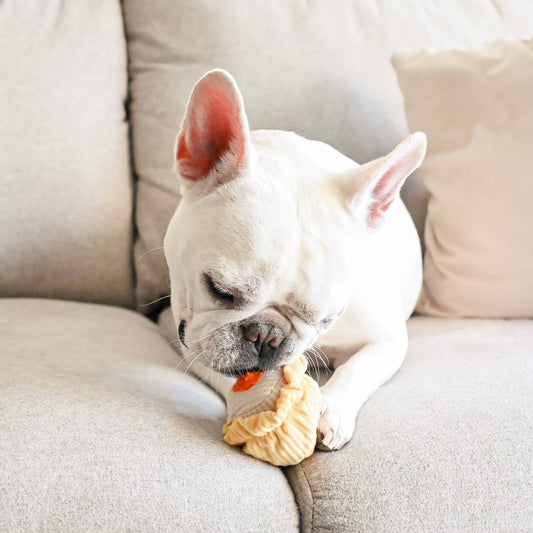 Lambwolf Collective DIM SUM POP // Enrichment dog toy