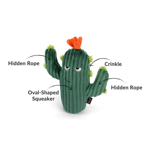 P.L.A.Y Prickly Pup Cactus