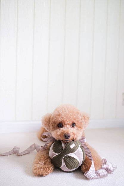 MONTI*//Enrichment Toy