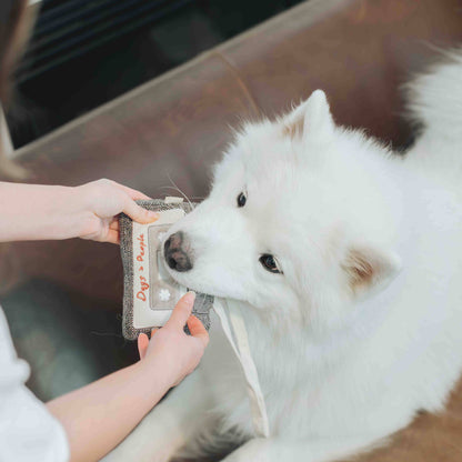 Lambwolf Collective CASSETTE // ENRICHMENT DOG TOY