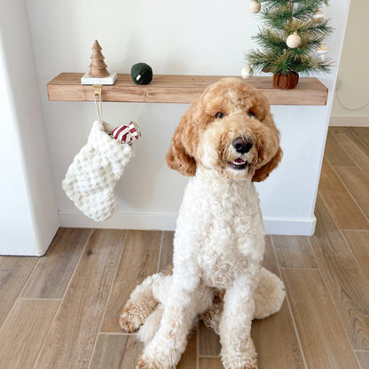 XMAS STOCKING//ENRICHMENT DOG TOY // HOLIDAY
