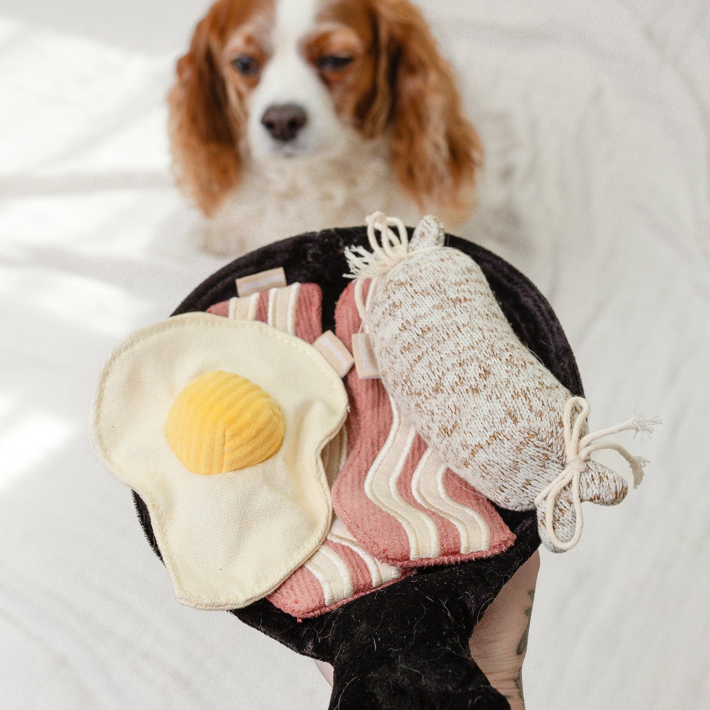 Bfast Set //ENRICHMENT DOG TOY