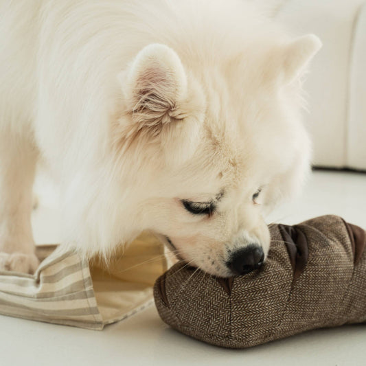 RYE //ENRICHMENT DOG TOY