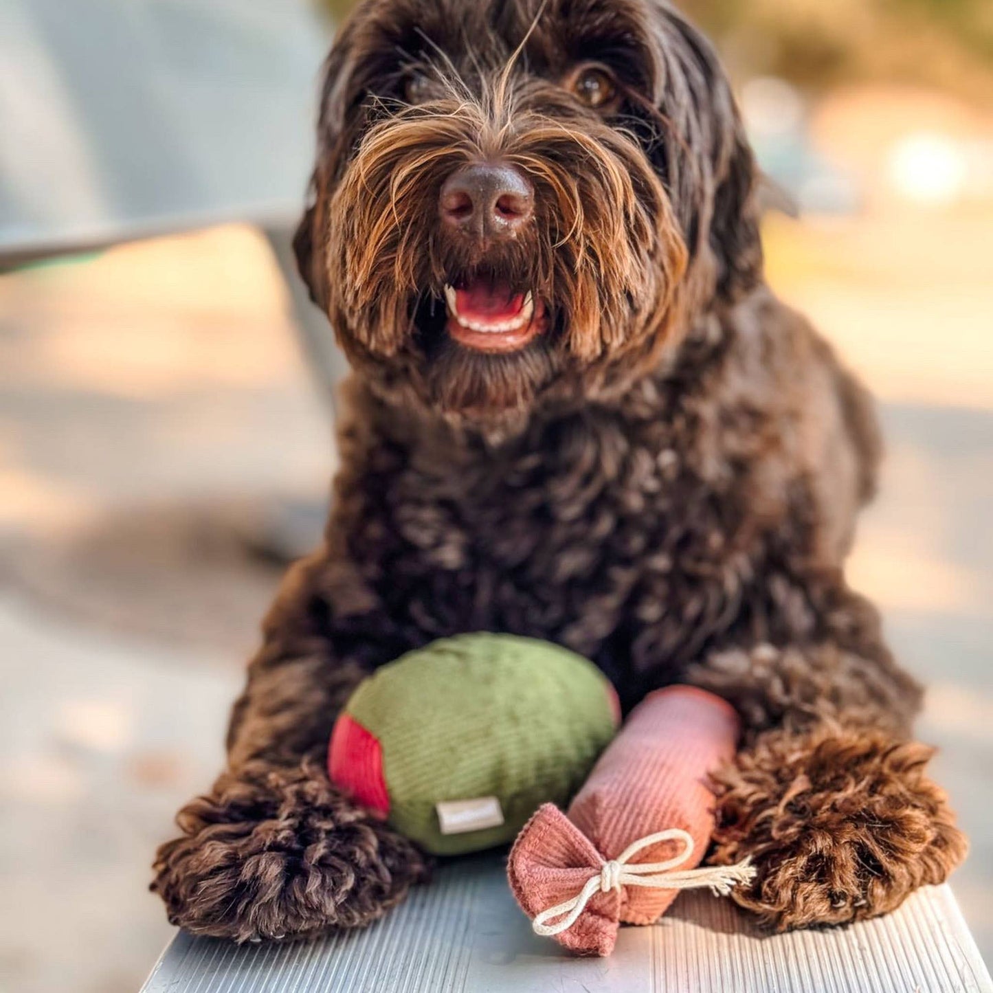 Lambwolf Collective Olive + SALAMI//ENRICHMENT DOG TOY