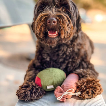 Lambwolf Collective Olive + SALAMI//ENRICHMENT DOG TOY