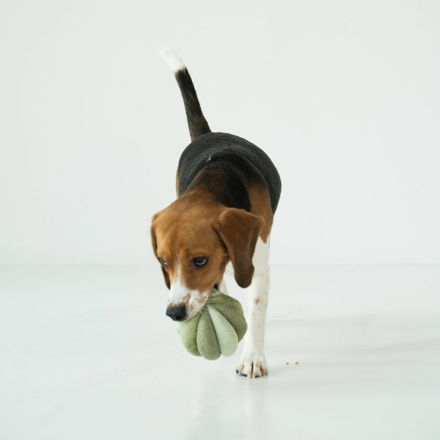 TOTO // Silent Snuffle Smaller Ball