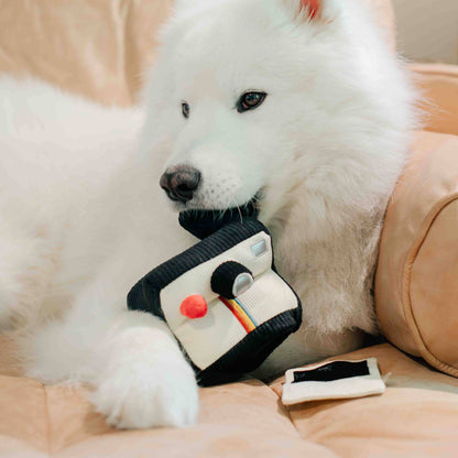 Lambwolf Collective INSTANT CAMERA // ENRICHMENT DOG TOY