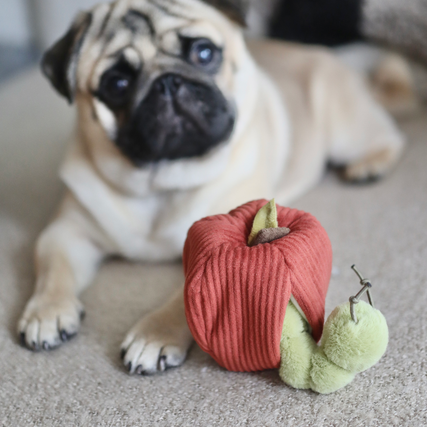 APPLE/ ENRICHMENT TOY SET// SNUFFLE TOY