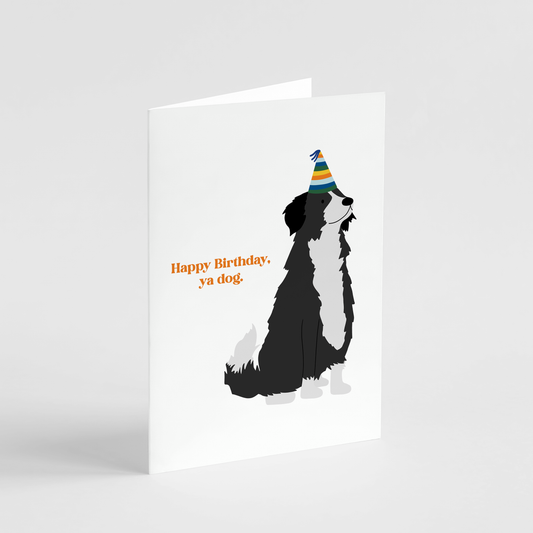 Happy Birthday, Ya Dog Card - Rude and Funny Birthday Card