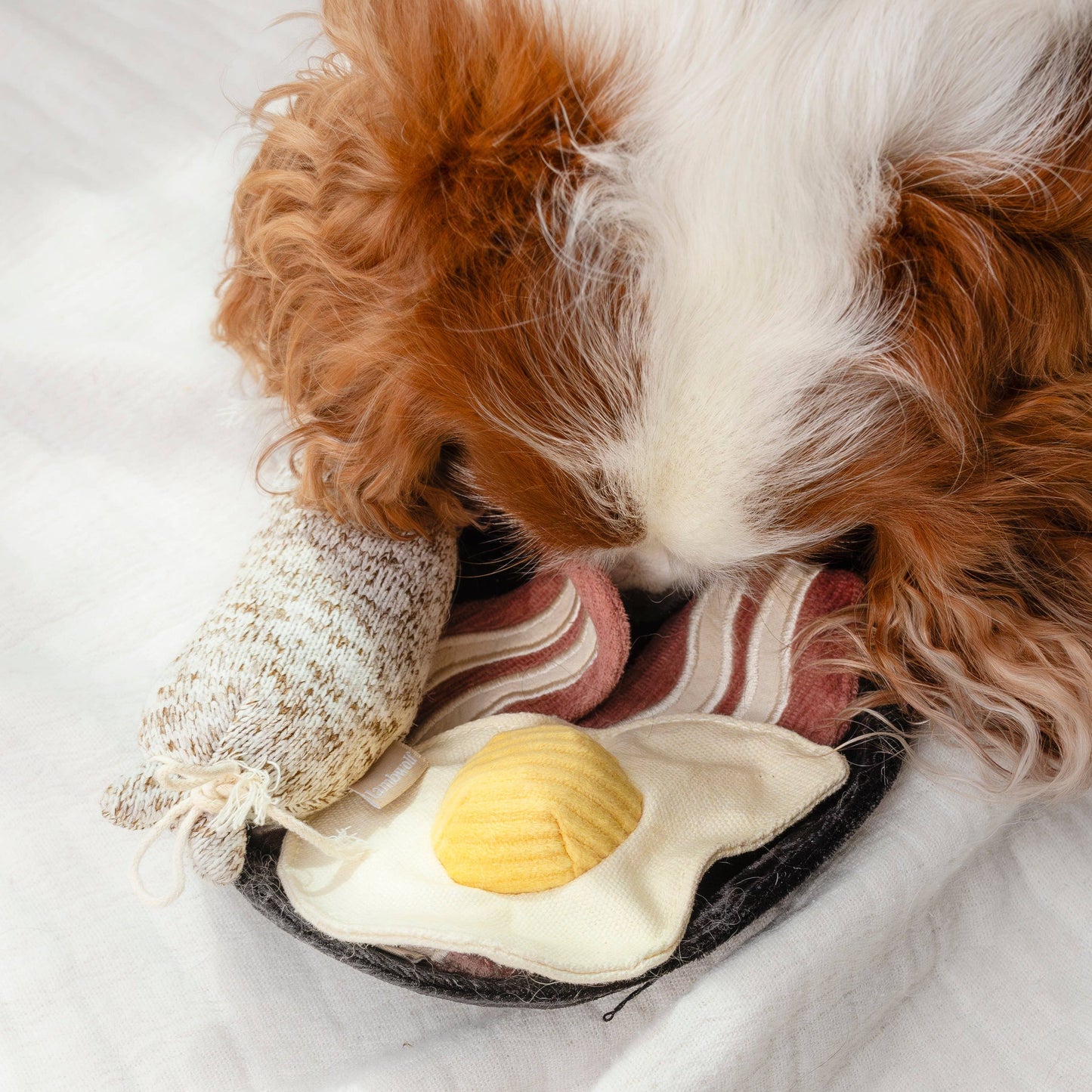 Bfast Set //ENRICHMENT DOG TOY