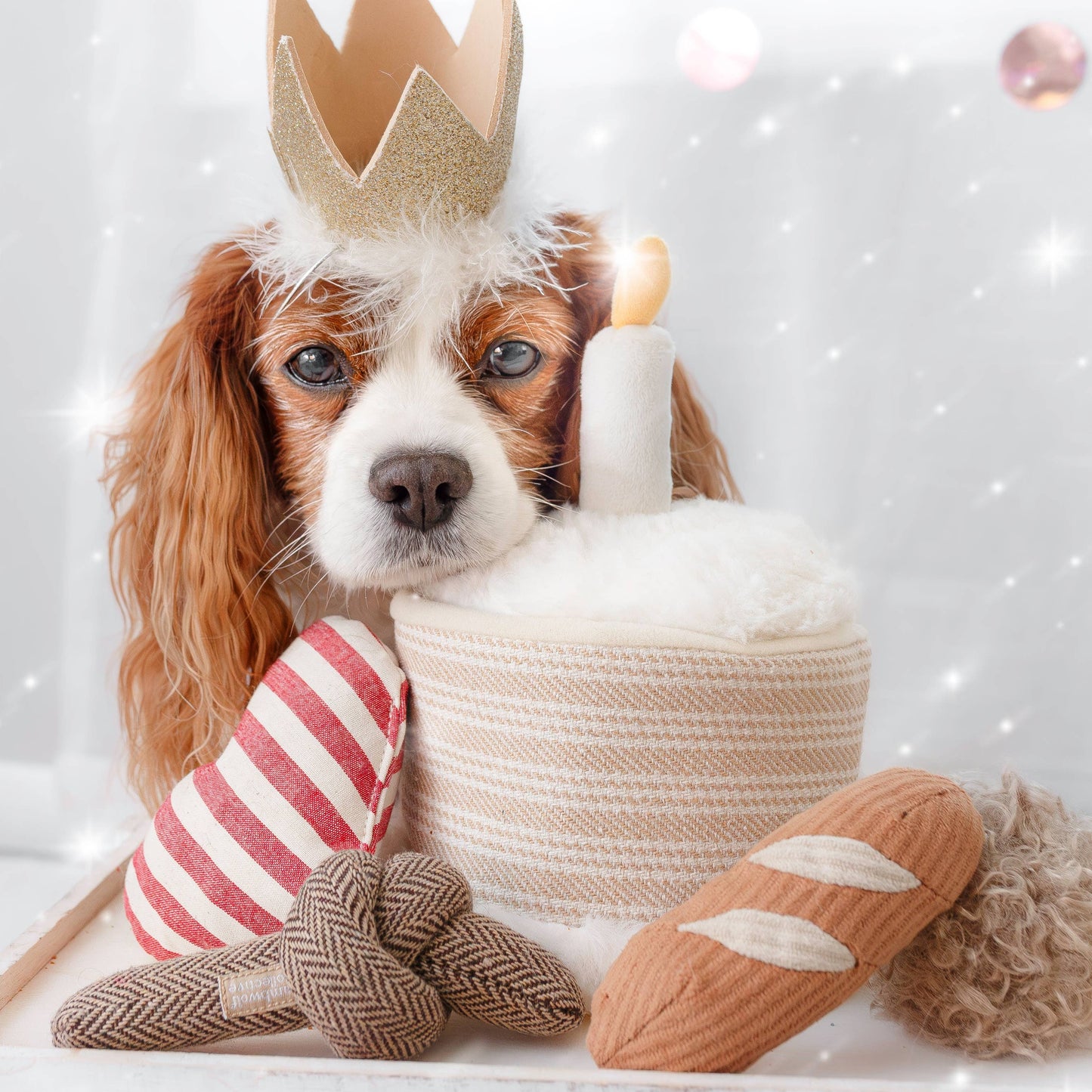 Birthday Cake // Burrow Toy