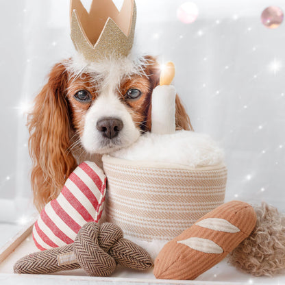 Birthday Cake // Burrow Toy