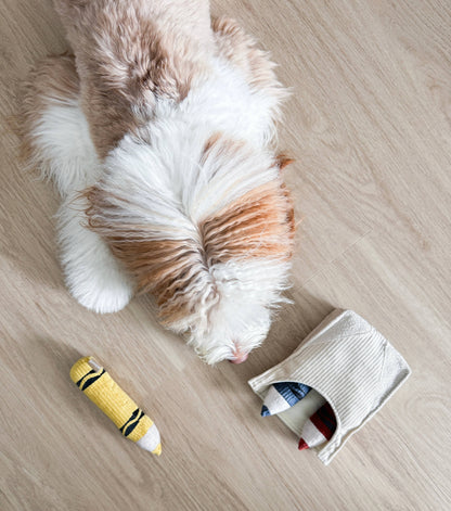 CRAYONS//ENRICHMENT DOG TOY
