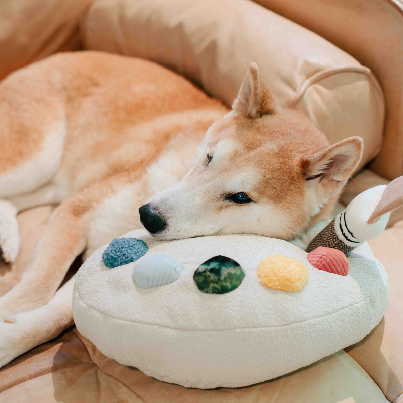 One Color Pet Color Palette Set // ENRICHMENT DOG TOY – Pawpicked