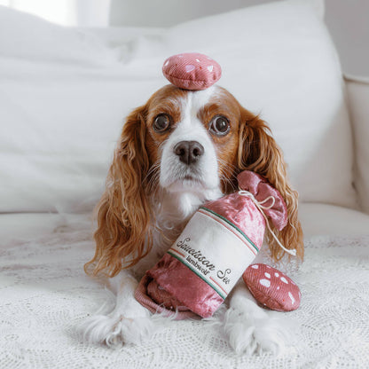 Lambwolf Collective SAUCISSON SEC//ENRICHMENT DOG TOY