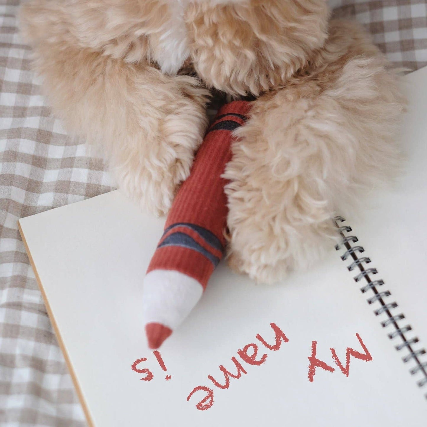 CRAYONS//ENRICHMENT DOG TOY