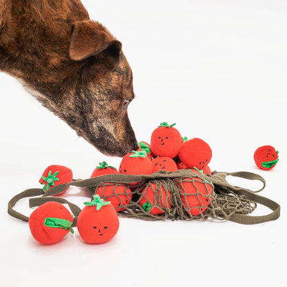 The Furryfolks CHERRY TOMATO Nose Work & Tug Toy